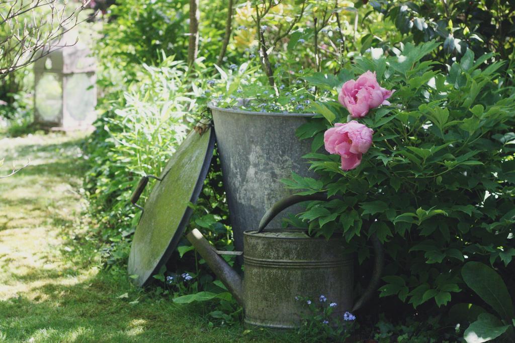 Bed and Breakfast Le Bonheur A La Campagne Lesmont Экстерьер фото
