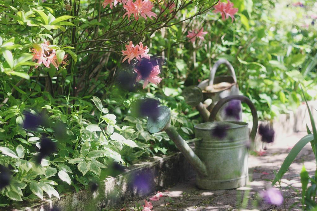 Bed and Breakfast Le Bonheur A La Campagne Lesmont Экстерьер фото